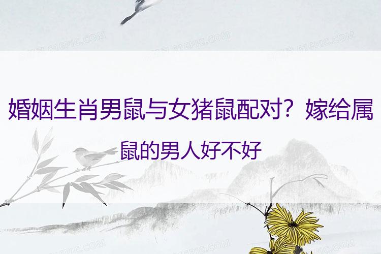 婚姻生肖男鼠与女猪鼠配对？嫁给属鼠的男人好不好