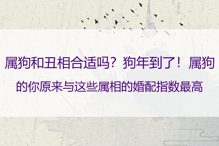 属狗和丑相合适吗？狗年到了！属狗的你原来与这些属相的婚配指数最高！
