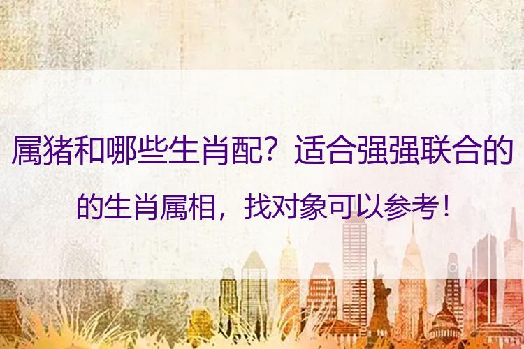 属猪和哪些生肖配？适合强强联合的的生肖属相，找对象可以参考！