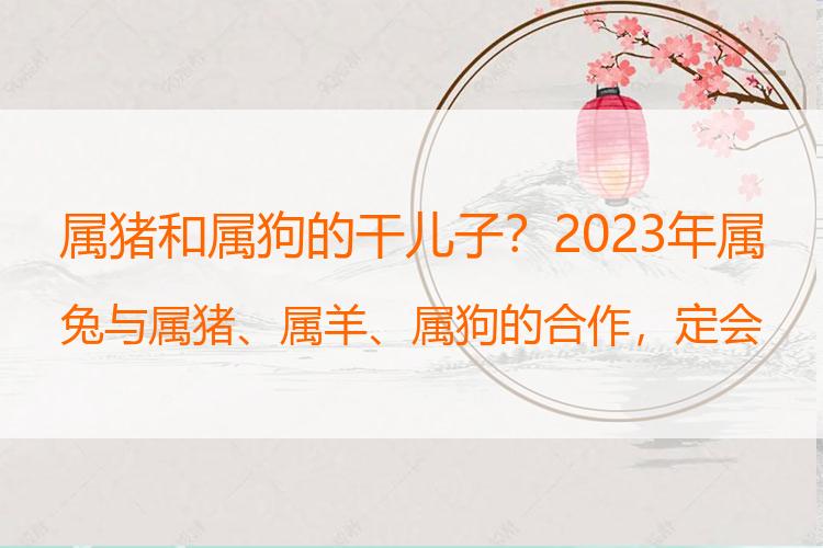 属猪和属狗的干儿子？2023年属兔与属猪、属羊、属狗的合作，定会官升三级，收入翻倍