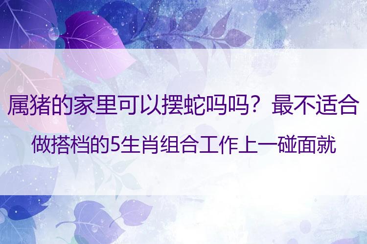 属猪的家里可以摆蛇吗吗？最不适合做搭档的5生肖组合 工作上一碰面就吵架