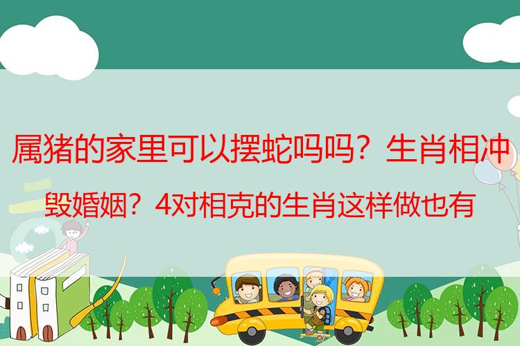 属猪的家里可以摆蛇吗吗？生肖相冲毁婚姻？4对相克的生肖这样做也有幸福又多金