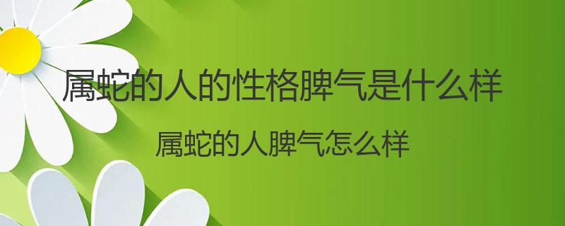 属蛇的人的性格脾气是什么样？属蛇的人脾气怎么样