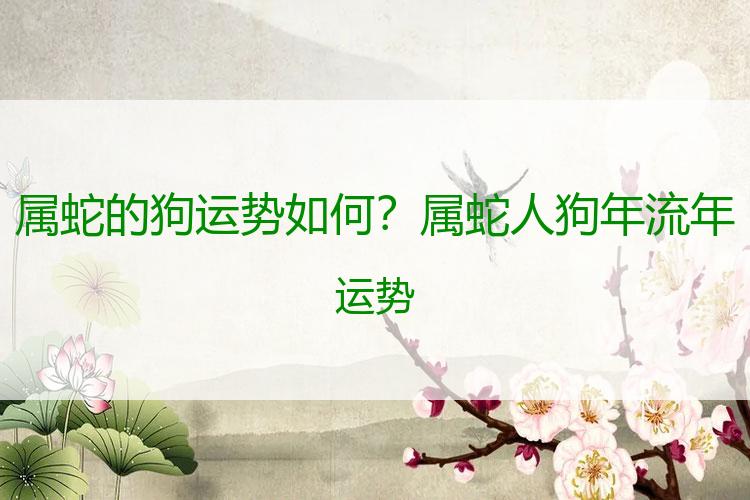 属蛇的狗运势如何？属蛇人狗年流年运势