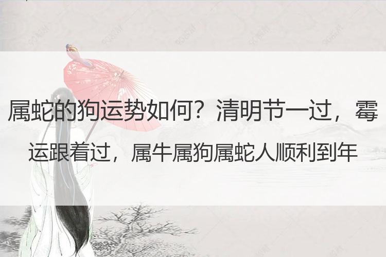属蛇的狗运势如何？清明节一过，霉运跟着过，属牛属狗属蛇人顺利到年底
