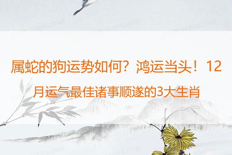 属蛇的狗运势如何？鸿运当头！12月运气最佳 诸事顺遂的3大生肖