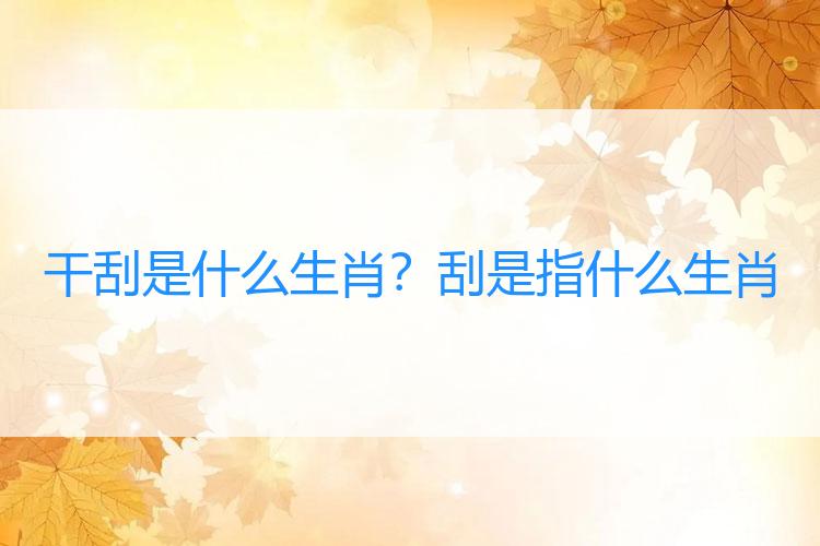 干刮是什么生肖？刮是指什么生肖
