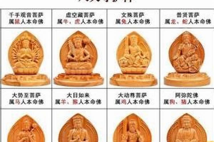 每个生肖本命佛，属虎的守护神是什么动物