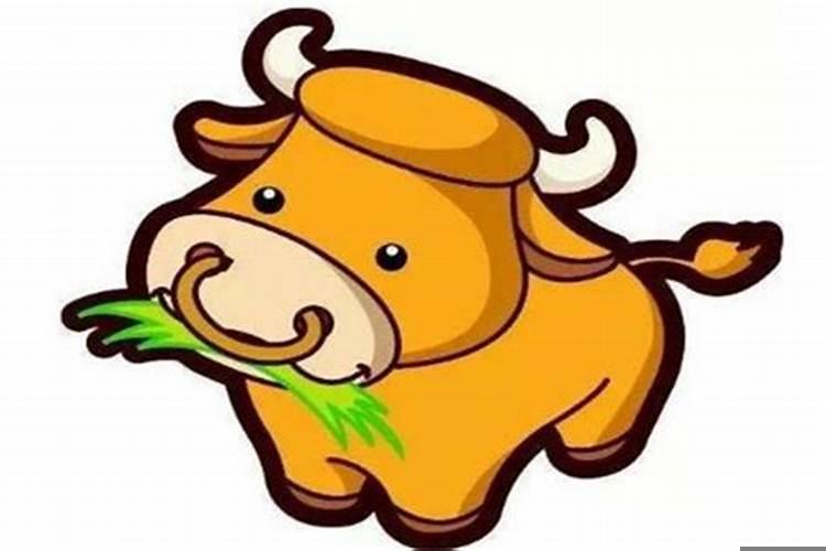 求2010八月结婚好日子男属牛女属虎好吗？本命年可以结婚吗属牛和属虎