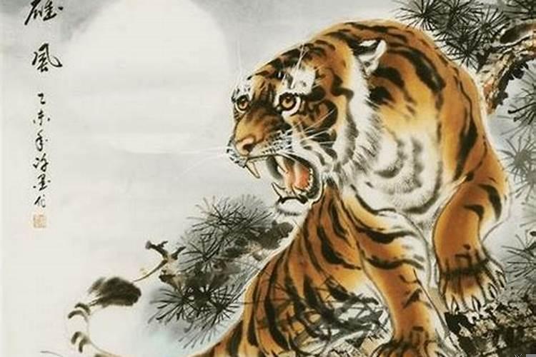 1986年属虎是什么命运，86年属虎是什么命格？1986属虎的是什么命