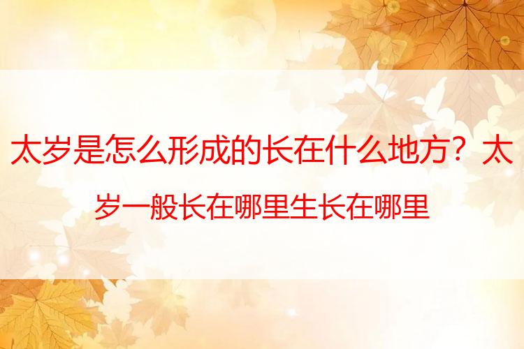 太岁是怎么形成的长在什么地方？太岁一般长在哪里生长在哪里