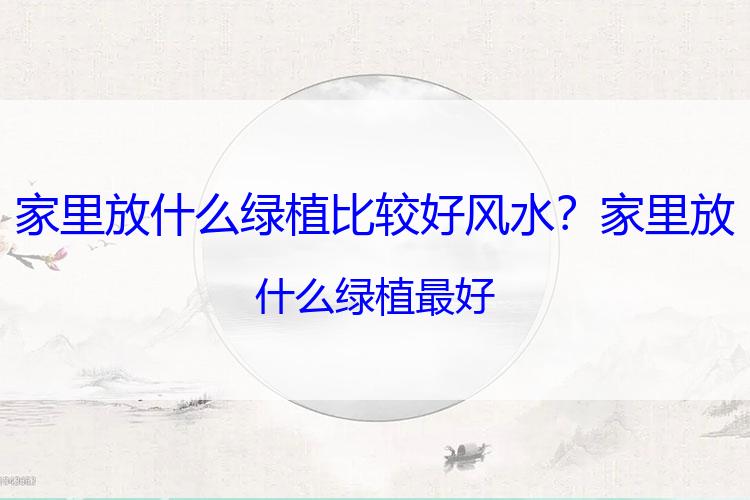家里放什么绿植比较好风水？家里放什么绿植最好
