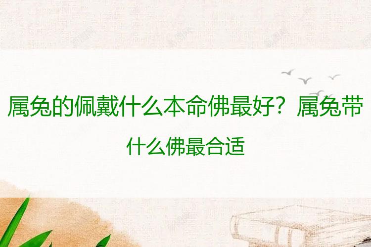 属兔的佩戴什么本命佛最好？属兔带什么佛最合适