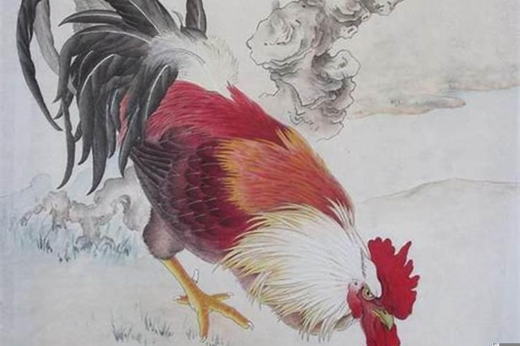 鸡年生的孩子命怎么样？本月属鸡运势