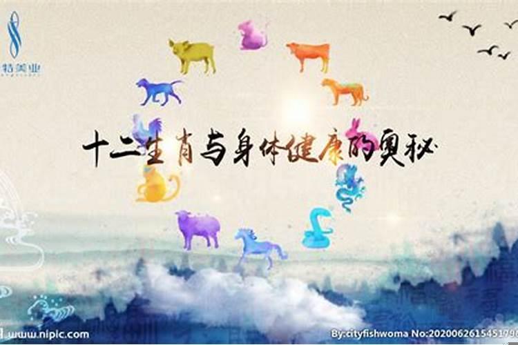什么生肖身体最健康？狗年生肖学业运势