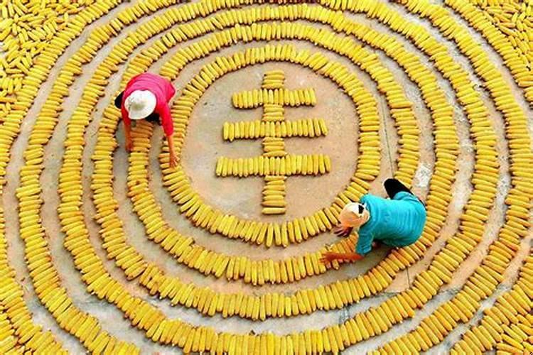 丰收节什么生肖？八字有三个德秀贵人