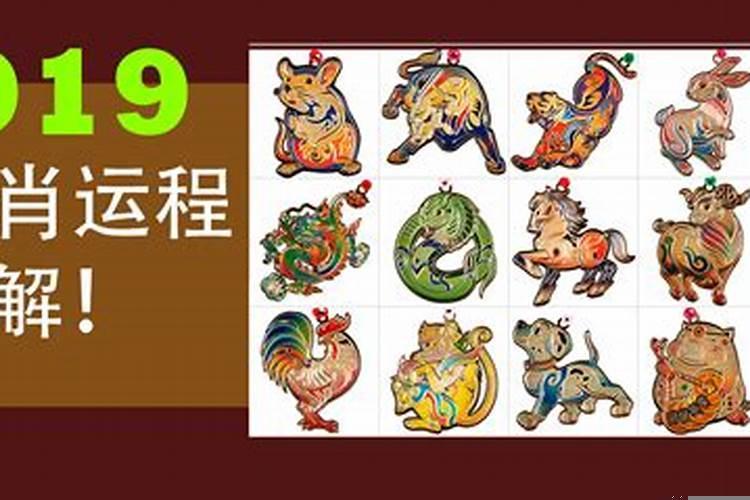 2023年12生肖运势解析(92年属猴的事业运势发展)