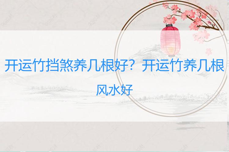 开运竹挡煞养几根好？开运竹养几根风水好