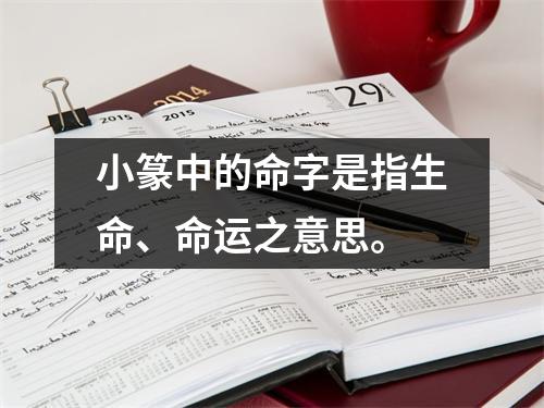 小篆中的命字是指生命、命运之意思。