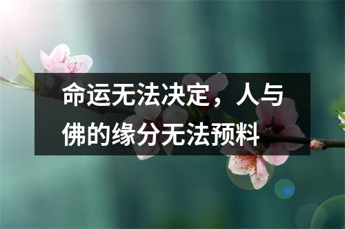 命运无法决定，人与佛的缘分无法预料