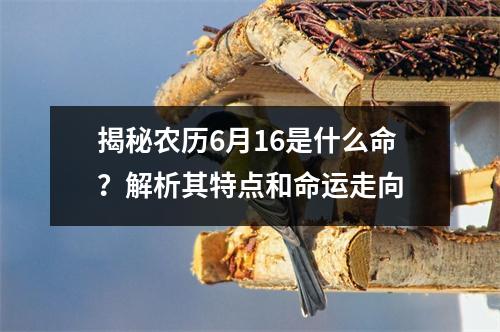 揭秘农历6月16是什么命？解析其特点和命运走向
