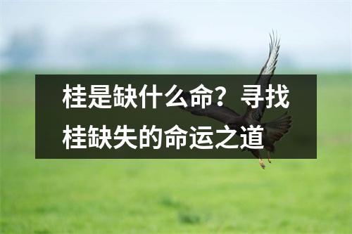 桂是缺什么命？寻找桂缺失的命运之道