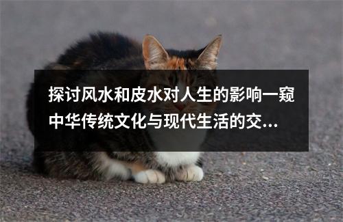 探讨风水和皮水对人生的影响一窥中华传统文化与现代生活的交汇