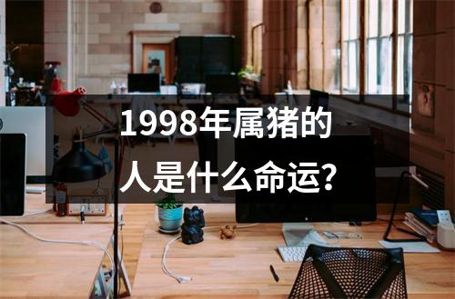 1998年属猪的人是什么命运？