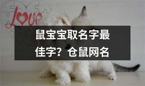 鼠宝宝取名字最佳字？仓鼠网名