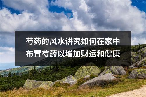 芍药的风水讲究如何在家中布置芍药以增加财运和健康