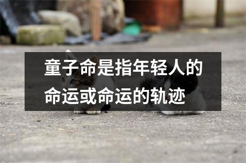 童子命是指年轻人的命运或命运的轨迹