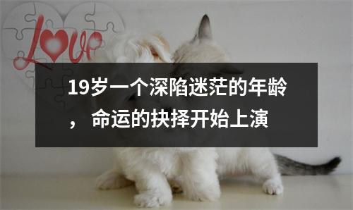 19岁一个深陷迷茫的年龄， 命运的抉择开始上演