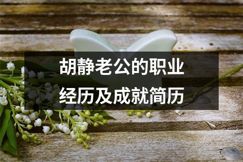 胡静老公的职业经历及成就简历