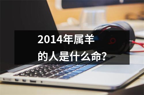 2014年属羊的人是什么命？