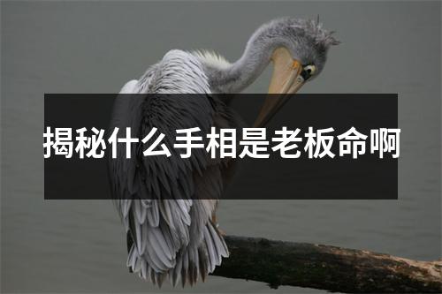 揭秘什么手相是老板命啊