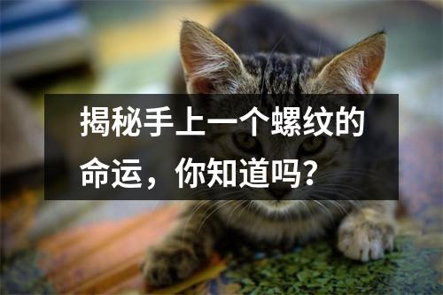 揭秘手上一个螺纹的命运，你知道吗？