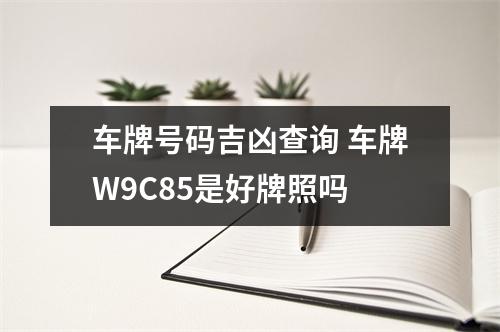 车牌号码吉凶查询 车牌W9C85是好牌照吗