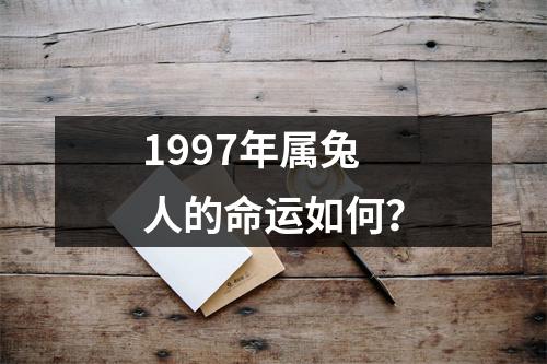 1997年属兔人的命运如何？