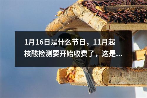 1月16日是什么节日，11月起核酸检测要开始收费了，这是真的吗