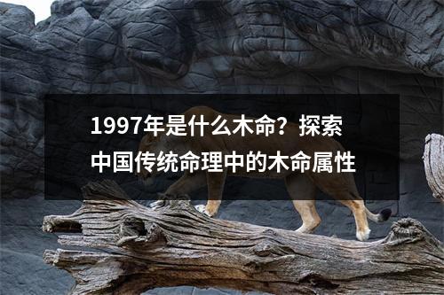 1997年是什么木命？探索中国传统命理中的木命属性