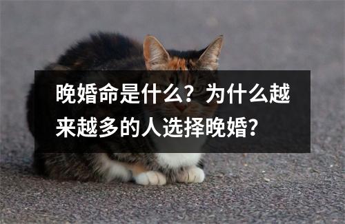 晚婚命是什么？为什么越来越多的人选择晚婚？