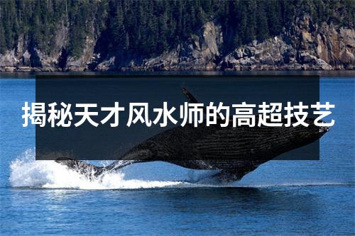 揭秘天才风水师的高超技艺