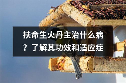 扶命生火丹主治什么病？了解其功效和适应症