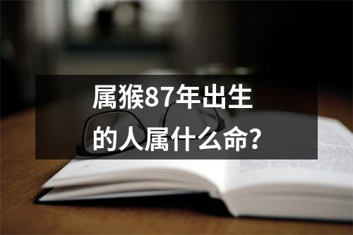 属猴87年出生的人属什么命？