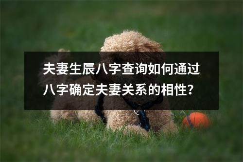 夫妻生辰八字查询如何通过八字确定夫妻关系的相性？