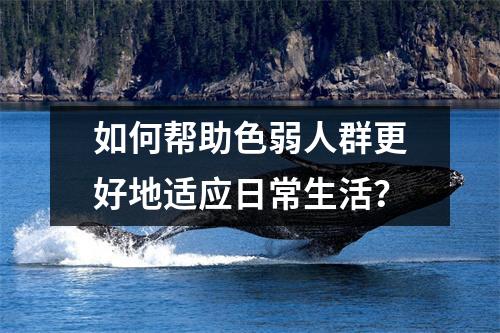 如何帮助色弱人群更好地适应日常生活？