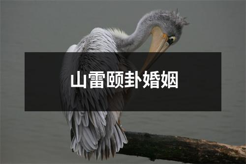 山雷颐卦婚姻