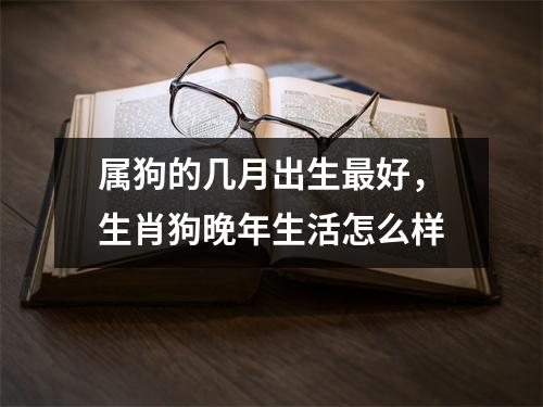 属狗的几月出生最好，生肖狗晚年生活怎么样