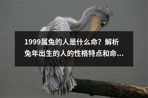 1999属兔的人是什么命？解析兔年出生的人的性格特点和命运走势