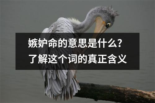 嫉妒命的意思是什么？了解这个词的真正含义